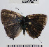  ( - YB-BCI64746)  @12 [ ] No Rights Reserved  Unspecified Unspecified