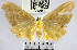  ( - YB-BCI177019)  @11 [ ] No Rights Reserved  Unspecified Unspecified