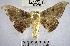  ( - YB-BCI34150)  @11 [ ] No Rights Reserved  Unspecified Unspecified