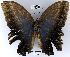  ( - YB-BCI55944)  @12 [ ] No Rights Reserved  Unspecified Unspecified