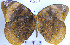  ( - YB-BCI64698)  @13 [ ] No Rights Reserved  Unspecified Unspecified