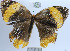  ( - YB-BCI64818)  @12 [ ] No Rights Reserved  Unspecified Unspecified