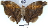  ( - YB-BCI49617)  @13 [ ] No Rights Reserved  Unspecified Unspecified
