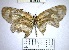  ( - YB-BCI90860.1)  @11 [ ] No Rights Reserved  Unspecified Unspecified