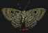  ( - YB-BCI2823)  @14 [ ] No Rights Reserved  Unspecified Unspecified