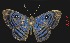  ( - YB-BCI6045)  @15 [ ] No Rights Reserved  Unspecified Unspecified