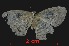 ( - YB-BCI1450)  @13 [ ] No Rights Reserved  Unspecified Unspecified