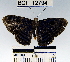  ( - YB-BCI12794)  @12 [ ] No Rights Reserved  Unspecified Unspecified