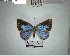  ( - YB-BCI193339)  @11 [ ] No Rights Reserved  Unspecified Unspecified