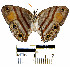  ( - YB-BCI1532)  @12 [ ] No Rights Reserved  Unspecified Unspecified