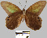  ( - YB-BCI124)  @13 [ ] No Rights Reserved  Unspecified Unspecified