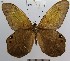  ( - YB-BCI4116)  @11 [ ] No Rights Reserved  Unspecified Unspecified