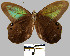  ( - YB-BCI60)  @14 [ ] No Rights Reserved  Unspecified Unspecified