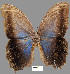  ( - YB-BCI1191)  @13 [ ] No Rights Reserved  Unspecified Unspecified