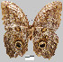  ( - YB-BCI1191)  @12 [ ] No Rights Reserved  Unspecified Unspecified