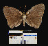  ( - YB-BCI10701)  @11 [ ] No Rights Reserved  Unspecified Unspecified
