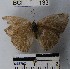  ( - YB-BCI133)  @11 [ ] No Rights Reserved  Unspecified Unspecified