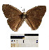  ( - YB-BCI2873)  @11 [ ] No Rights Reserved  Unspecified Unspecified