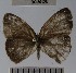  ( - YB-BCI56128)  @11 [ ] No Rights Reserved  Unspecified Unspecified