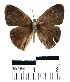  ( - YB-BCI6182)  @12 [ ] No Rights Reserved  Unspecified Unspecified