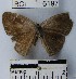 ( - YB-BCI6197)  @11 [ ] No Rights Reserved  Unspecified Unspecified
