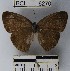  ( - YB-BCI6270)  @11 [ ] No Rights Reserved  Unspecified Unspecified