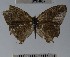  ( - YB-BCI64605)  @11 [ ] No Rights Reserved  Unspecified Unspecified