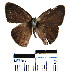  ( - YB-BCI6980)  @12 [ ] No Rights Reserved  Unspecified Unspecified