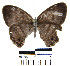  ( - YB-BCI22149)  @12 [ ] No Rights Reserved  Unspecified Unspecified