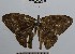  ( - YB-BCI43215)  @12 [ ] No Rights Reserved  Unspecified Unspecified