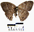  ( - YB-BCI6234)  @12 [ ] No Rights Reserved  Unspecified Unspecified