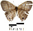  ( - YB-BCI21630)  @13 [ ] No Rights Reserved  Unspecified Unspecified