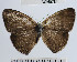  ( - YB-BCI65784)  @12 [ ] No Rights Reserved  Unspecified Unspecified