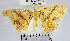  ( - YB-BCI172045)  @11 [ ] No Rights Reserved  Unspecified Unspecified