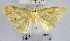  ( - YB-BCI172045)  @11 [ ] No Rights Reserved  Unspecified Unspecified
