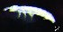  ( - JPV-15_Dec_ZET1_150_Foldpar_1)  @11 [ ] No Rights Reserved  Unspecified Unspecified