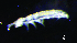  ( - JPV-15_Dec_ZET1_150_Foldpar_4)  @11 [ ] No Rights Reserved  Unspecified Unspecified