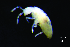 ( - JPV-23_Dec_ZET2_300_Cyphsp1_2)  @11 [ ] No Rights Reserved  Unspecified Unspecified