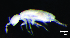  ( - JPV-23_Dec_ZET2_300_Cyphsp1_4)  @11 [ ] No Rights Reserved  Unspecified Unspecified