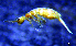  ( - JPV-36_Dec_ARM3_050_Hetsp1_1)  @11 [ ] No Rights Reserved  Unspecified Unspecified