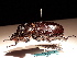  ( - YB-BCI162588)  @11 [ ] No Rights Reserved  Unspecified Unspecified