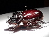  ( - YB-BCI163601)  @11 [ ] No Rights Reserved  Unspecified Unspecified