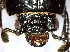  ( - YB-BCI167302)  @11 [ ] No Rights Reserved  Unspecified Unspecified