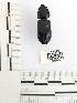  ( - YB-BCI55070)  @11 [ ] No Rights Reserved  Unspecified Unspecified