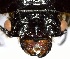  (Petrejoides sp. 1 YB - YB-BCI167300)  @11 [ ] No Rights Reserved  Unspecified Unspecified