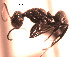  ( - YB-DD1019BC)  @12 [ ] No Rights Reserved  Unspecified Unspecified