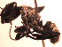  ( - YB-DD1031BC)  @12 [ ] No Rights Reserved  Unspecified Unspecified