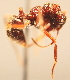  ( - YB-BCI28823)  @13 [ ] No Rights Reserved  Unspecified Unspecified