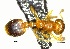  ( - YB-BCI56867)  @11 [ ] No Rights Reserved  Unspecified Unspecified