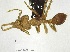  ( - YB-BCI163428)  @13 [ ] No Rights Reserved  Unspecified Unspecified